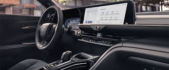 Image result for Black 2024 Crown