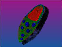 Gene Discovery In Fruit Flies Could Help Search For New Treatments For Mitochondrial Disease