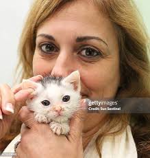 82 Gina Foster Stock Photos, High-Res Pictures, and Images