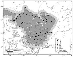 Image result for Plinthus karooicus