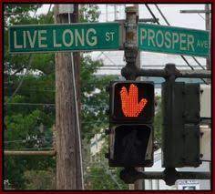 Maybe you would like to learn more about one of these? 10 Best Street Name Ideas Street Names Funny Signs Bones Funny