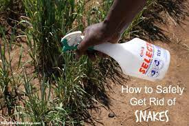 Natural Snake Repellent Snake Repellant Repellent Pest Control