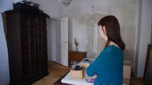 Möbliertes, helles studio in toplage berlin mitte torstr. Untermieter Unter Aller Sau Diese Mieterin Muss Jetzt Renovieren B Z Berlin