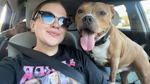 It was clearly a long five days of boarding for my velcro dog