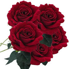 5 Pieces En Soie Artificielle Faux Fleurs Rose Bouquet De Fleurs De Mariage Decoration D Interieur D E8 Achat Vente Fleur Artificielle Cdiscount 156 000+ vecteurs, photos et fichiers psd. 5 pieces en soie artificielle faux fleurs rose bouquet de fleurs de mariage decoration d interieur d e8