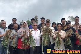 Lantik 14 orang pejabat fungsional, ini harapan dan pesan bupati eka. Berita Pemerintah Kabupaten Tanah Datar Di Tengah Kelangkaan Produk Kwt Legumer Tanah Datar Panen Bawang Putih