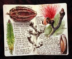 Dsc 0021 Sketch Book Book Art Art Sketchbook