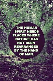 The best memes from instagram, facebook, vine, and twitter about hippie. Hippie And Peace Quotes 25 Best Memes About Hippie Meme Funny Hippie Meme Funny Memes Dogtrainingobedienceschool Com