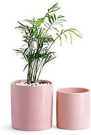 What are drainage holes even good for in the first place? Amazon Com Potey Ceramic Planter Flower Plant Pot 4 9 6 1 With Drain Hole Full Depth Cylinder Mini Flower Planters Indoor Flower Pots Ceramic Plant Pots