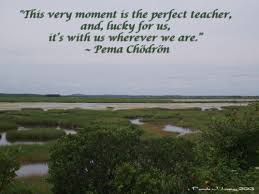 Be In The Moment Pema Chodron Quotes In This Moment Pema Chodron