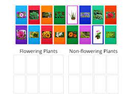 The main difference between flowering and nonflowering plants is their method of reproduction. Flowering Non Flowering Plants Group Sort