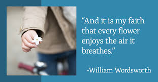 Jaye Lee Goodin, Financial Services Professional with Nylife Securities LLC 