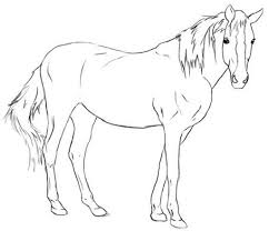 How To Draw Horses Easily If You Like To Draw And Want To Learn How To Draw Horses Every Detail Head And Body Horse Drawing Horse Drawings Animal Drawings