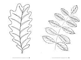 Maybe you would like to learn more about one of these? Liscie Drzew Szablony I Karty Pracy Dzieciaki W Domu