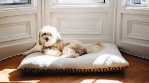 They are made of superior quality, imported raw materials that guarantee a long lifespan. Best Washable Dog Beds To Keep Your Doggo S Space Feeling Fresh Bone Yarn