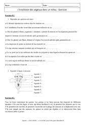 Check spelling or type a new query. Exercice Svt 6eme Cycle 3