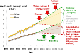 Pests, weeds and diseases (pests) pose serious risk for primary producers as they can impact on market access and agricultural production. Complementary Practices Supporting Conservation Agriculture In Southern Africa A Review Springerlink