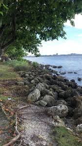 Relaxing Day At The Bay Video In 2020 Beautiful Nature Relaxing Day Landscape