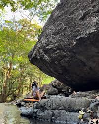 la bouse à dom bi modutara (@aneferarrieta ri kredituak lehenengoagatik)