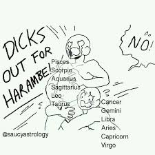 Zodiac Draw Ur Squad Meme Zodiac Signs Funny Zodiac Star Signs Zodiac Signs Leo