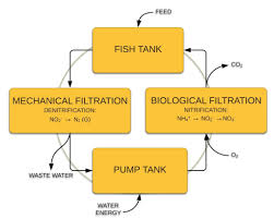 recirculating aquaculture system or ras aquaculture id