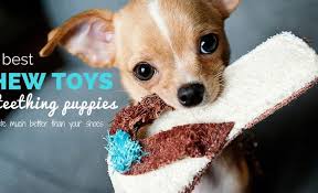 Product benefits you can rest assured knowing that your puppy is getting the best, all natural ingredients to help him/her grow healthy. 5 Best Chew Toys For Teething Puppies Safe Toys For Chomping