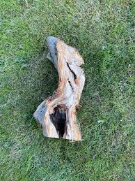 Image result for site:byggahus.se trädfällning