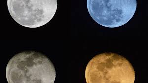 Wouldn't his title be royal consort? Boo A Halloween Blue Moon Universe Today