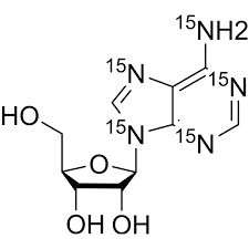 Image result for Adenosine