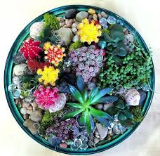 Website Disabled Dish Garden Succulent Terrarium Succulents Garden