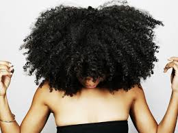 Black Hair Has Long Been A Topic Of Contention Within Society The Desire To Showcase The Beauty Of Black Hair Is Natural Hair Styles Textured Hair Hair Beauty
