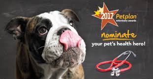 They can pay the vet direct; Nominations Open For Vet Excellence Awards Pet Age