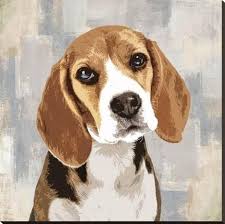 Beagle Stretched Canvas Print Keri Rodgers Art Com Beagle Art Art Canvas Artwork