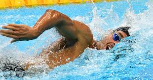 Jun 23, 2021 · milan (afp) olympic swimming champion gregorio paltrinieri is suffering from glandular fever a month before his 1,500m title defence in tokyo, the italian swimming federation (fin) announced. Wellbrock Rivale Gregorio Paltrinieri Hat Pfeiffersches Drusenfieber