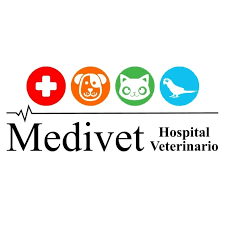 Medivet hospital veterinario