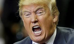 Image result for trump unhinged images