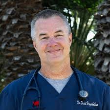 Brookfield Pet Hospital Plus