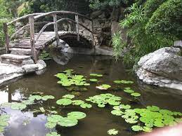 Austin S Best Parks And Gardens Best Of Lists Free Things To Do Local Recommendations Things To Austin Tourist Attractions Zilker Park Zilker Park Austin