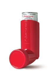 Image result for Intranasal Ciclesonide