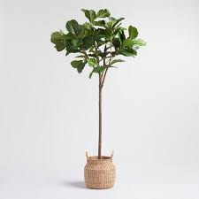 6 foot faux fiddle leaf fig tree succulent plant holder wall