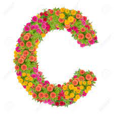Download in under 30 seconds. Letter C Alphabet Made From Zinnia Flower Abc Concept Type As Logo Typography Design With Clipping Path Stock Photo Picture And Royalty Free Image Image 88173932