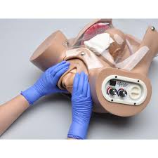 (botany) of a reversed shape. Susie Advanced Ob Simulator 1019303 W45079 Gaumard S500 200 M Ob Gyn Simulation Ob Gyn Simulators Ob Gyn Trainers Ob Gyn Training Ob Gyn Models Ob Gyn Patient Education
