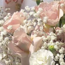 Goldsvn In 2020 Flower Aesthetic Pink Aesthetic Pastel Aesthetic