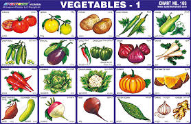 Spectrum Educational Charts Chart 103 Vegetables 1