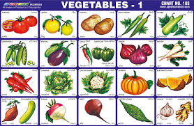 spectrum educational charts chart 103 vegetables 1