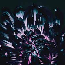Maybe you would like to learn more about one of these? The Contortionist Facebook