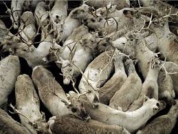 Expo Collective Contemporaine: " Identités en mouvement