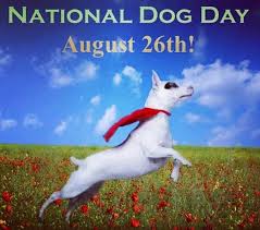 In 2016, a controversial study was conducted and its findings caused dog lovers everywhere to become very upset. The Pet Land Happy International Dog Day 26th August 2018 Facebook
