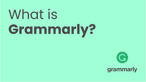 What is Grammarly Online Typing Assistant?