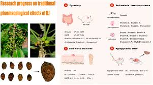 Image result for Brucea